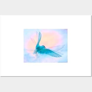 Ethereal Arctic Tern Posters and Art